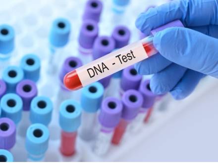 Wheaton, IL paternity lawyer